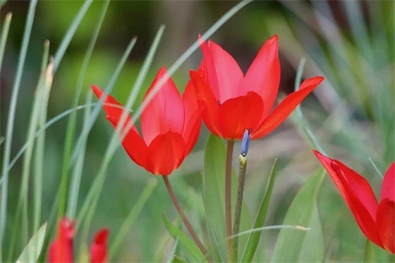 2026年祝福语简短霸气62句 2026年祝福语简短霸气62句