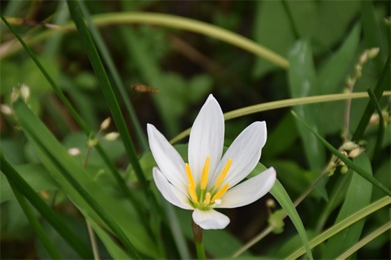 2026治愈人心的生日祝福语带图