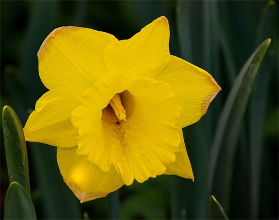 母亲节祝福语大全感动 母亲节祝福语大全感动