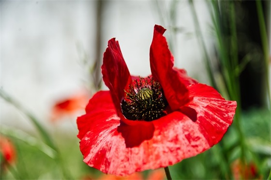 下雨天暖心问候的句子(精选30句)