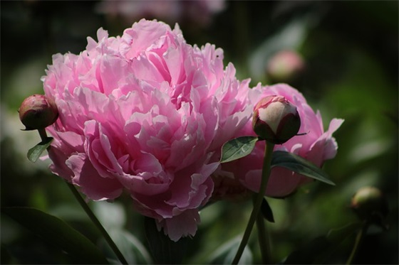 最感人的一句话