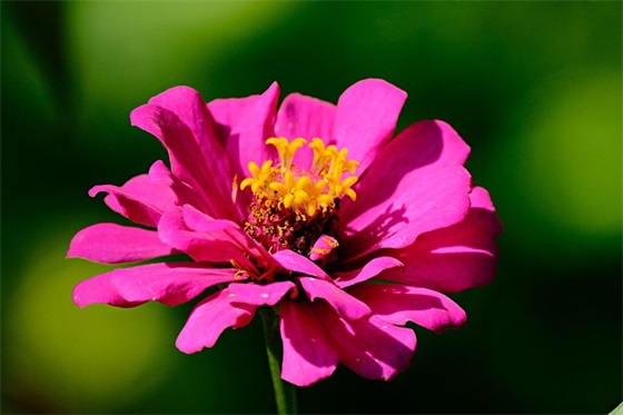 描写春雨过后的句子 描写春雨过后的句子