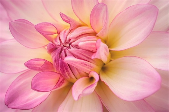 过年春节的气氛描写句子