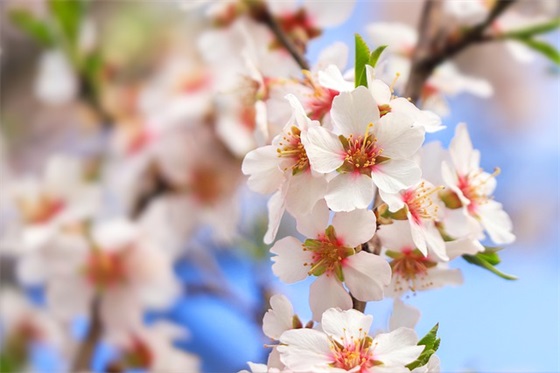 工作态度和责任心句子通用41条