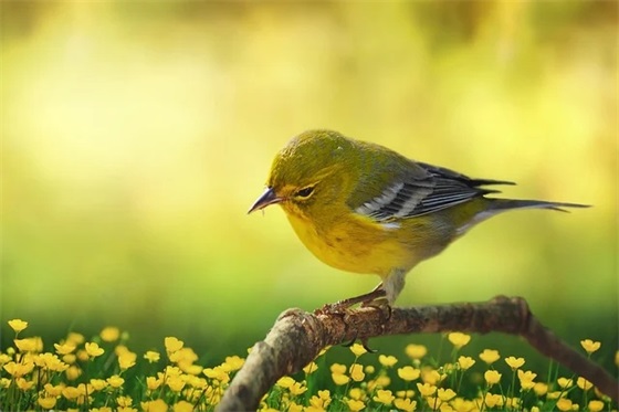 离婚的句子说说收藏57条 离婚的句子说说收藏57条