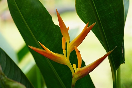 初三毕业生催泪句子通用