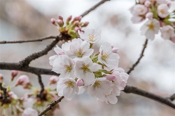 7岁侄子生日祝福语43句 7岁侄子生日祝福语43句