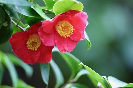 中秋节表情包和祝福语 2026中秋节快乐gif表情包 中秋节表情包和祝福语 2026中秋节快乐gif表情包