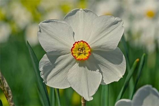 英语学业祝福语60句