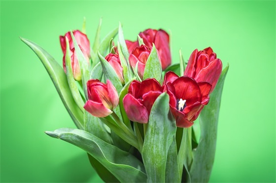 庆祝中秋节教师节双节祝福语