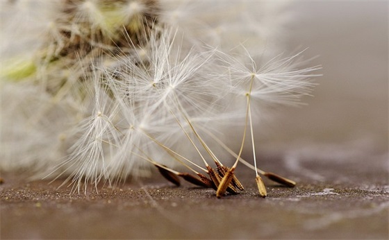 经典励志英文网名(精选73个)