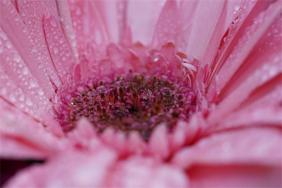 可爱的英文情侣网名大全(共64个)