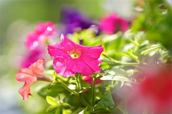 qq空间名字伤感71句