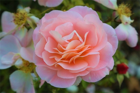 吉祥好兆头的店名女装208个