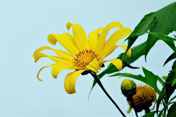 好听的朋友圈名字大全(优选76个)