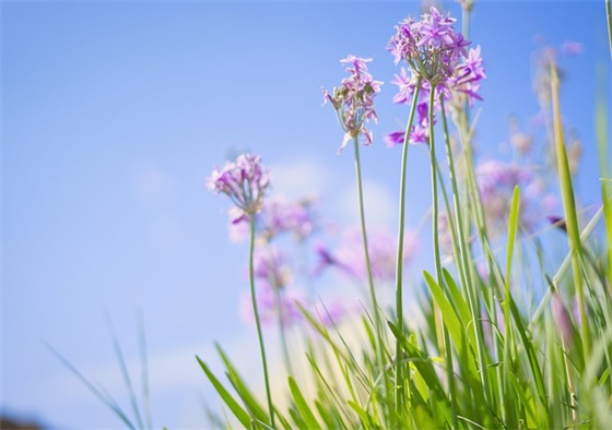 带爷字的霸气网名(优选67个)