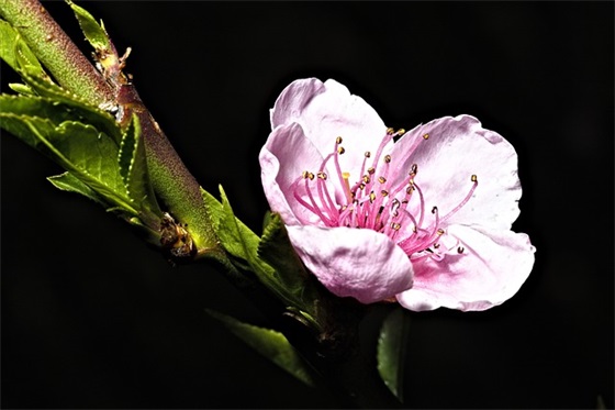 关于怀念过去的网名(80个)