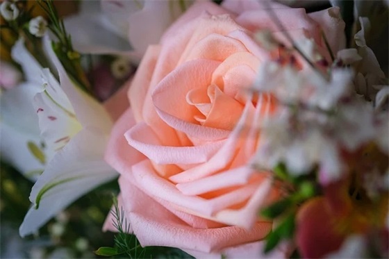 和钱多多一个意思的名字(精选74个)