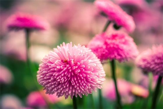 结婚祝福语文艺的 结婚祝福语文艺