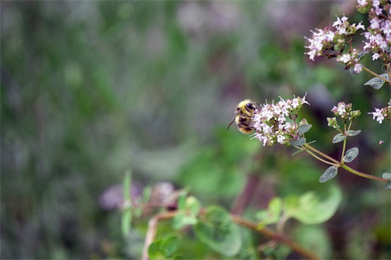 装修公司开业祝福语