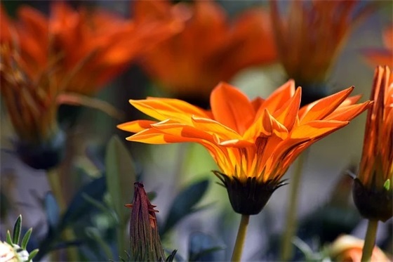 结婚十五周年纪念日祝福语