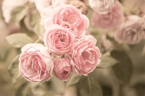 关于2026很潮又短的生日祝福语精选