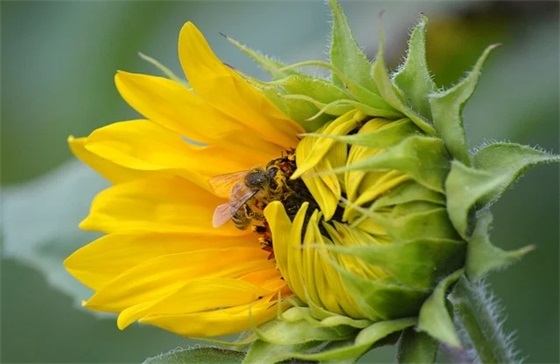 创办100期祝福语 婴儿满100天祝福语
