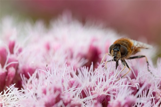 过周岁祝福语 过周岁红包祝福语