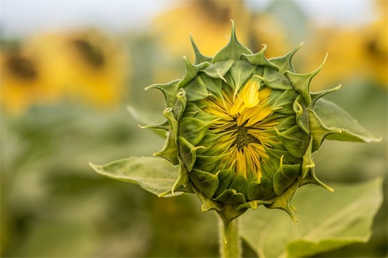 同学生日祝福语简短61句