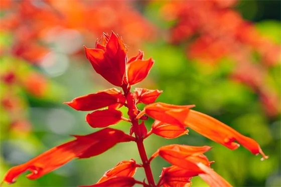 孩子升学宴祝福语 恭祝高考升学的句子