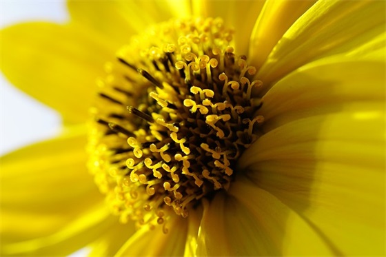 闺蜜生日祝福说说霸气(闺蜜生日祝福语幽默搞笑)