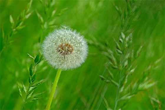 写给病人的祝福语怎么写