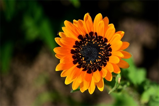 换新环境工作的祝福语 换新工作祝福语简短