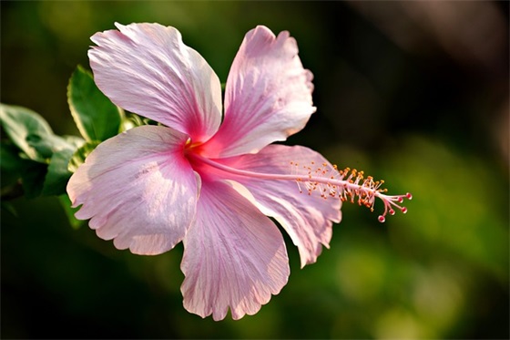 企业重阳节祝福语大全