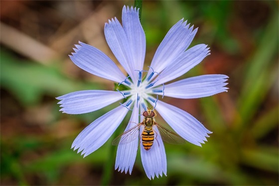 四月的最后一周的祝福语