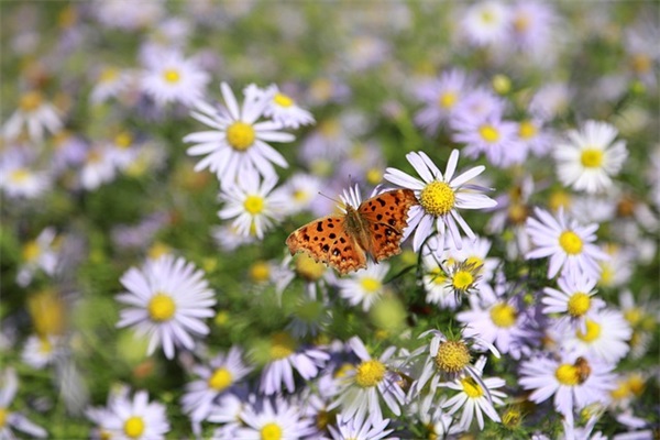 爸爸结婚祝福语大全 爸爸对孩子的祝福语
