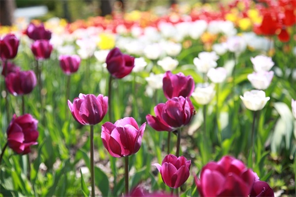 朋友调动工作祝福语 朋友调换工作祝福语