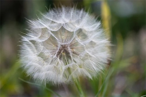 关于祝今天大卖的经典句子75句 关于祝今天大卖的经典句子75句