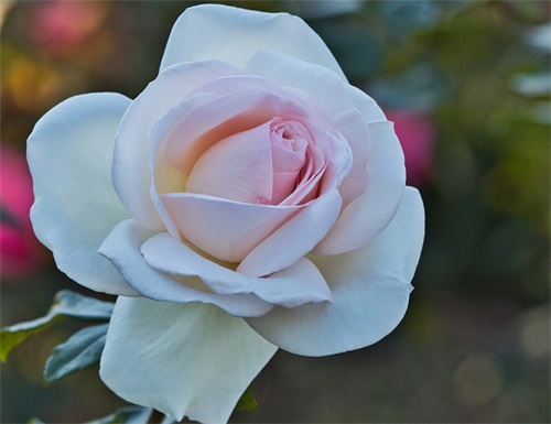 懂得感恩的正能量句子 人生随时要感恩 懂得感恩的正能量句子 人生随时要感恩