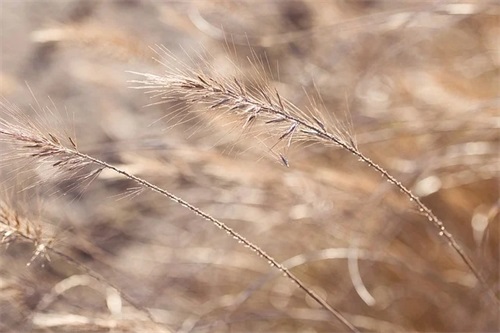 朋友结婚了祝福语 对朋友结婚祝福语