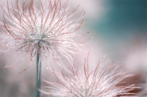 春节给妈妈的祝福语45句 春节给妈妈的祝福语45句