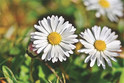 工作顺利的祝福语69句 工作顺利的祝福语69句