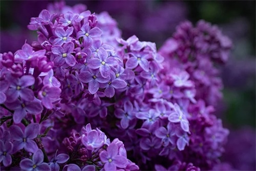 写心情的句子 句句触动内心 超喜欢