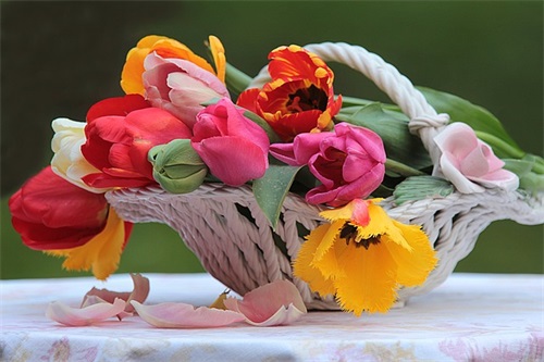 给儿童生日祝福语39句