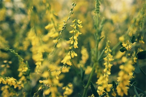 好朋友出国祝福语 朋友出国祝福语