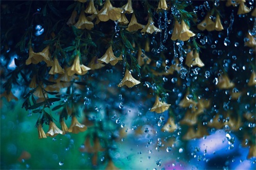 致自己心静的句子 致自己心静的句子字