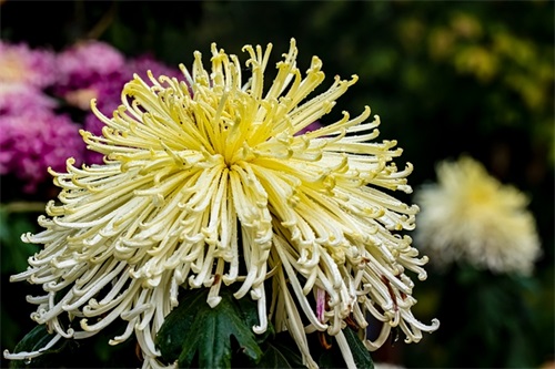 非常好听的开业大吉祝福语