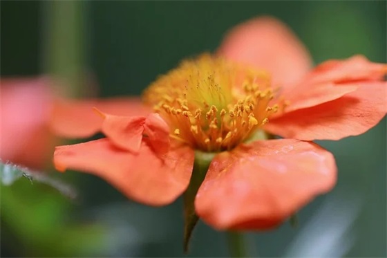 失落的句子句句痛心 失落的句子句句痛心