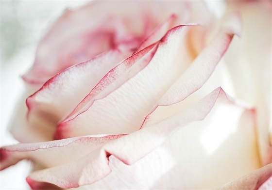 现实感情伤感的句子