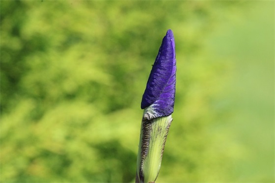 准备迎接新生活的句子 迎接新工作励志的句子